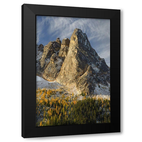 Liberty Bell Mountain Early Winters Spires-and golden autumn Larches Black Modern Wood Framed Art Print by Majchrowicz, Alan