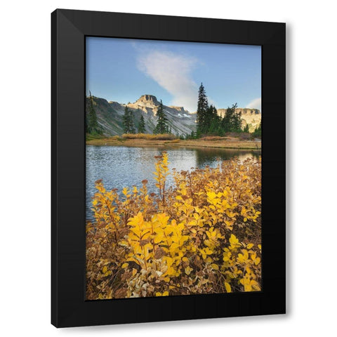 Heather Meadows in autumn Table Mountain is in the distance Black Modern Wood Framed Art Print with Double Matting by Majchrowicz, Alan