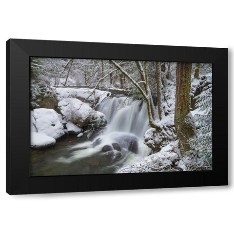 Whatcom Falls after fresh dusting of winter snow Whatcom Falls City Park-Bellingham Black Modern Wood Framed Art Print by Majchrowicz, Alan