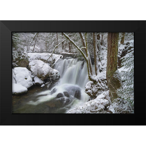 Whatcom Falls after fresh dusting of winter snow Whatcom Falls City Park-Bellingham Black Modern Wood Framed Art Print by Majchrowicz, Alan