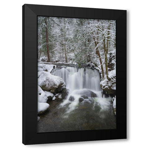 Whatcom Falls after fresh dusting of winter snow Whatcom Falls City Park-Bellingham Black Modern Wood Framed Art Print by Majchrowicz, Alan
