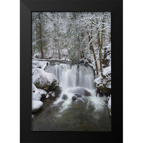 Whatcom Falls after fresh dusting of winter snow Whatcom Falls City Park-Bellingham Black Modern Wood Framed Art Print by Majchrowicz, Alan