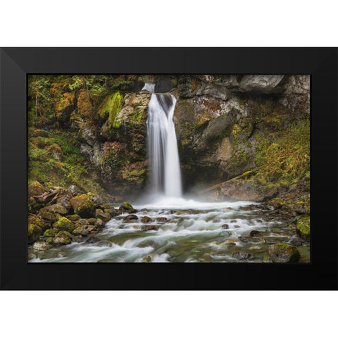 Lazy Bear Falls-Mount Baker-Snoqualmie National Forest-North Cascades-Washington State Black Modern Wood Framed Art Print by Majchrowicz, Alan