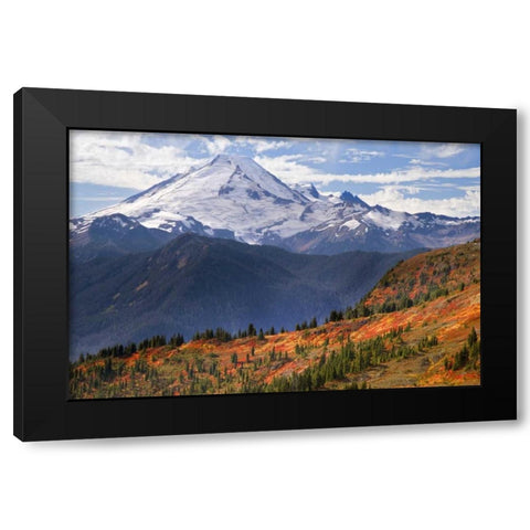 WA, Mount Baker from Yellow Aster Butte Trail Black Modern Wood Framed Art Print by Paulson, Don