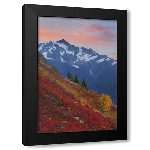WA, Mount Baker Wilderness View of Mount Shuksan Black Modern Wood Framed Art Print with Double Matting by Paulson, Don