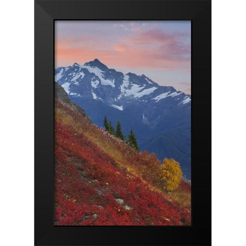 WA, Mount Baker Wilderness View of Mount Shuksan Black Modern Wood Framed Art Print by Paulson, Don