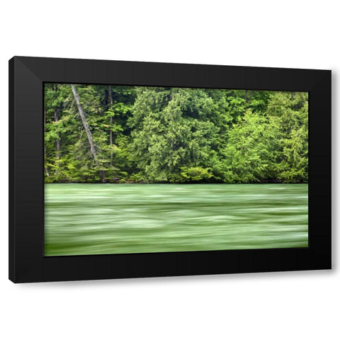 WA, Stehekin Stehekin River through the Cascades Black Modern Wood Framed Art Print with Double Matting by Paulson, Don