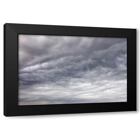 USA, Washington, Seabeck Billowing storm clouds Black Modern Wood Framed Art Print by Paulson, Don