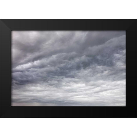 USA, Washington, Seabeck Billowing storm clouds Black Modern Wood Framed Art Print by Paulson, Don