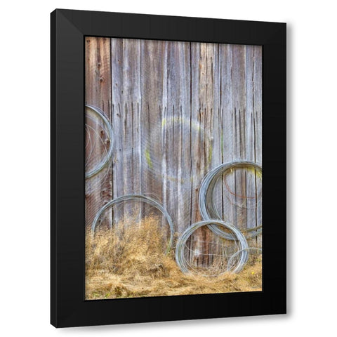 WA, Silverdale Wire coiled on barn wall Black Modern Wood Framed Art Print by Paulson, Don