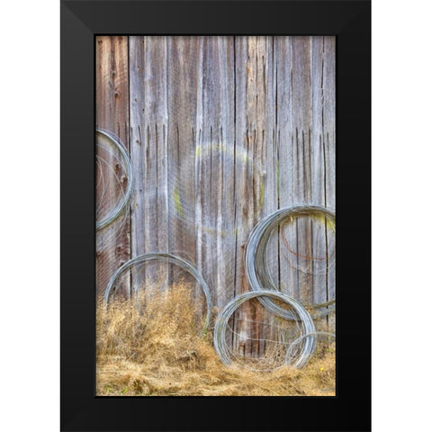 WA, Silverdale Wire coiled on barn wall Black Modern Wood Framed Art Print by Paulson, Don