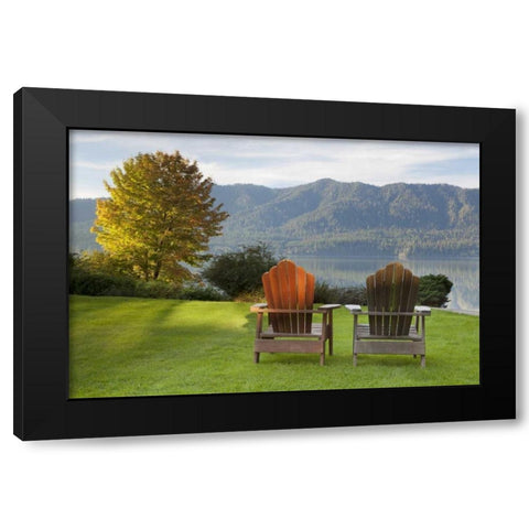 WA, Quinault Landscape view from Quinault Lodge Black Modern Wood Framed Art Print with Double Matting by Paulson, Don