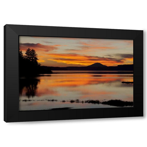 USA, Washington Sunset on Lake Quinault Black Modern Wood Framed Art Print with Double Matting by Paulson, Don