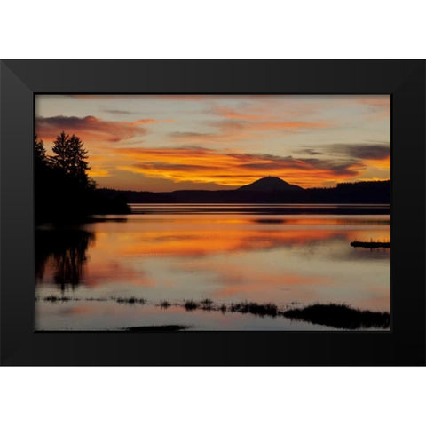 USA, Washington Sunset on Lake Quinault Black Modern Wood Framed Art Print by Paulson, Don