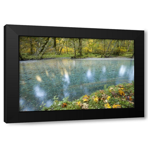 Washington Quinault River in the Olympic NP Black Modern Wood Framed Art Print with Double Matting by Paulson, Don