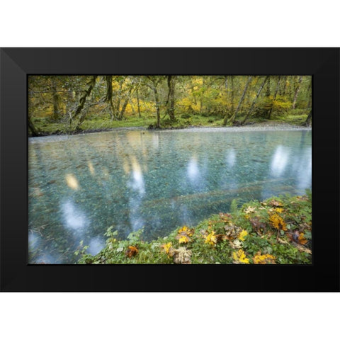 Washington Quinault River in the Olympic NP Black Modern Wood Framed Art Print by Paulson, Don
