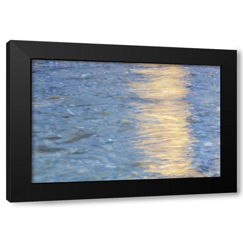 Washington Quinault River in the Olympic NP Black Modern Wood Framed Art Print by Paulson, Don