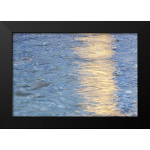 Washington Quinault River in the Olympic NP Black Modern Wood Framed Art Print by Paulson, Don