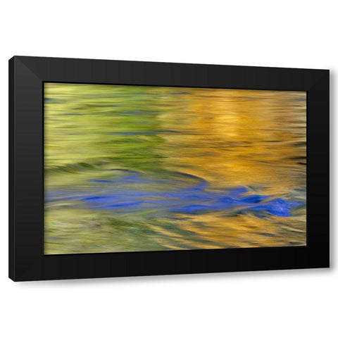 WA, Quinault Autumn reflect in Quinault River Black Modern Wood Framed Art Print with Double Matting by Paulson, Don