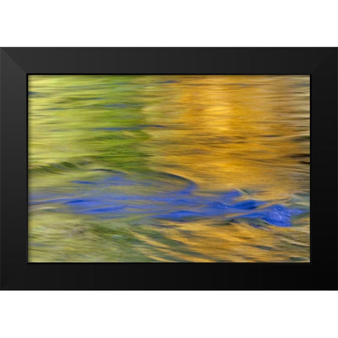 WA, Quinault Autumn reflect in Quinault River Black Modern Wood Framed Art Print by Paulson, Don