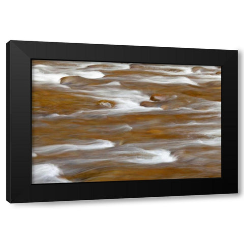 WA, Olympic NP autumn reflects in Solduc River Black Modern Wood Framed Art Print by Paulson, Don