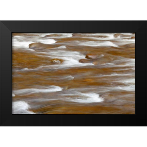WA, Olympic NP autumn reflects in Solduc River Black Modern Wood Framed Art Print by Paulson, Don