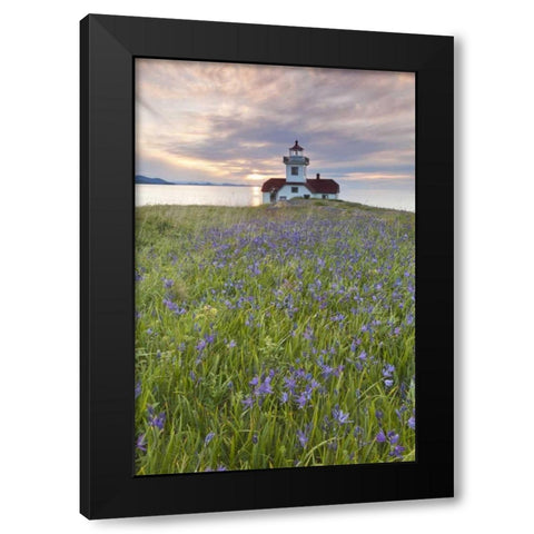 Washington Sunset on Patos Island Lighthouse Black Modern Wood Framed Art Print with Double Matting by Paulson, Don