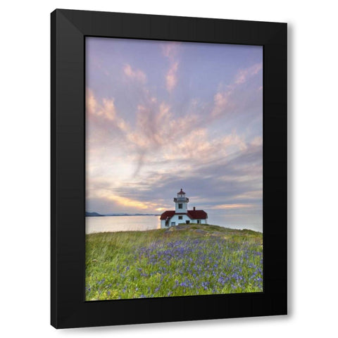 Washington Sunset on Patos Island Lighthouse Black Modern Wood Framed Art Print by Paulson, Don