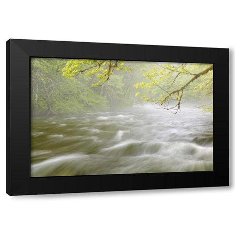 WA, Cascade Mts Cascading water in Beckler River Black Modern Wood Framed Art Print by Paulson, Don