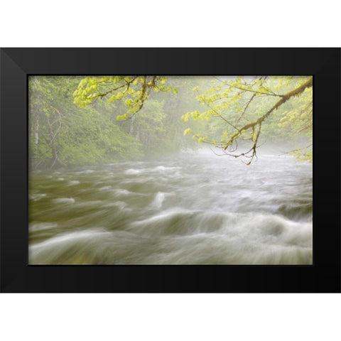 WA, Cascade Mts Cascading water in Beckler River Black Modern Wood Framed Art Print by Paulson, Don