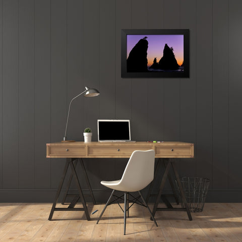 WA, Olympic NP Sunset on Rialto Beach sea stacks Black Modern Wood Framed Art Print by Paulson, Don
