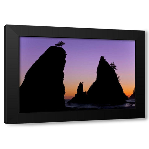 WA, Olympic NP Sunset on Rialto Beach sea stacks Black Modern Wood Framed Art Print with Double Matting by Paulson, Don