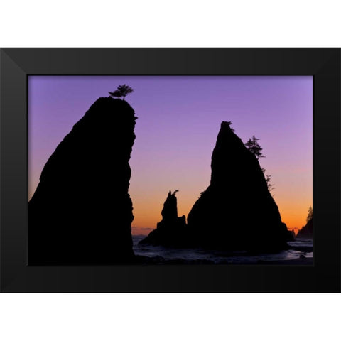 WA, Olympic NP Sunset on Rialto Beach sea stacks Black Modern Wood Framed Art Print by Paulson, Don