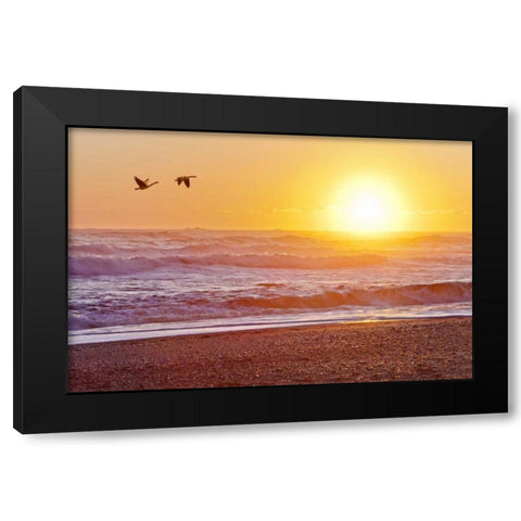 WA, Olympic NP Canada geese over Rialto Beach Black Modern Wood Framed Art Print with Double Matting by Paulson, Don