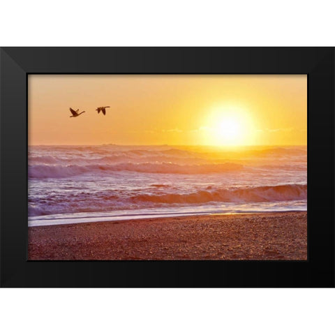WA, Olympic NP Canada geese over Rialto Beach Black Modern Wood Framed Art Print by Paulson, Don