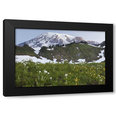 WA, Mt Rainier NP Sunrise on meadow with flowers Black Modern Wood Framed Art Print with Double Matting by Paulson, Don