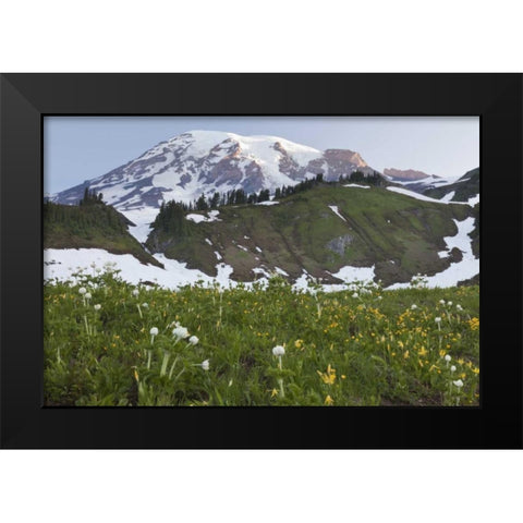 WA, Mt Rainier NP Sunrise on meadow with flowers Black Modern Wood Framed Art Print by Paulson, Don