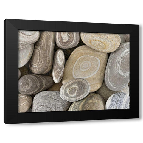 Washington, Seabeck Close-up of beach stones Black Modern Wood Framed Art Print with Double Matting by Paulson, Don