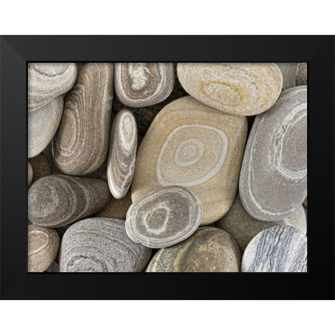 Washington, Seabeck Close-up of beach stones Black Modern Wood Framed Art Print by Paulson, Don