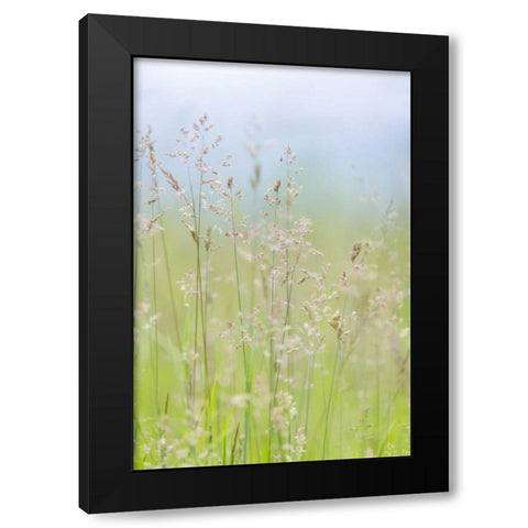 USA, Washington, Seabeck Grasses in motion Black Modern Wood Framed Art Print with Double Matting by Paulson, Don