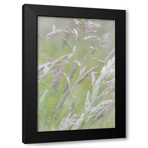 USA, Washington, Seabeck Grasses in motion Black Modern Wood Framed Art Print with Double Matting by Paulson, Don