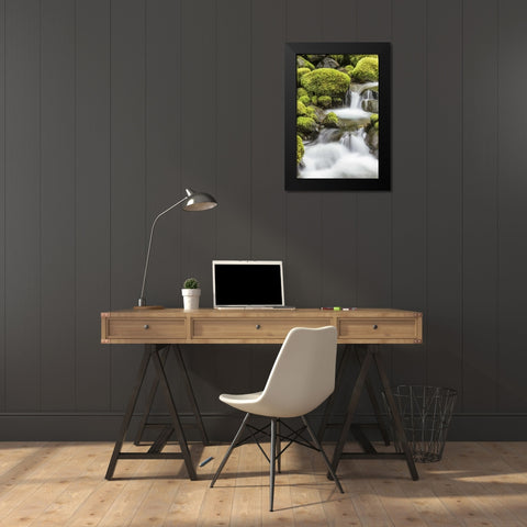 Washington, Olympic NP Small stream in forest Black Modern Wood Framed Art Print by Paulson, Don