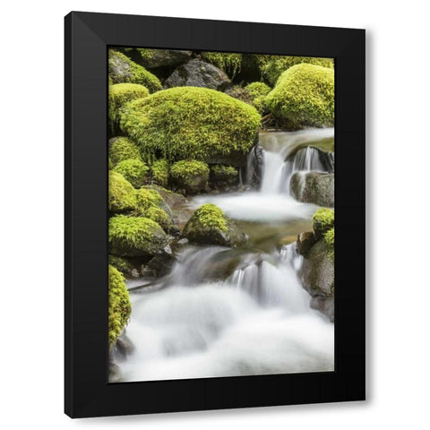 Washington, Olympic NP Small stream in forest Black Modern Wood Framed Art Print by Paulson, Don