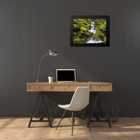 Washington, Olympic NP Small stream in forest Black Modern Wood Framed Art Print by Paulson, Don