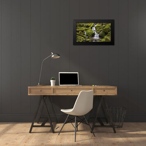 Washington, Olympic NP Small stream in forest Black Modern Wood Framed Art Print by Paulson, Don