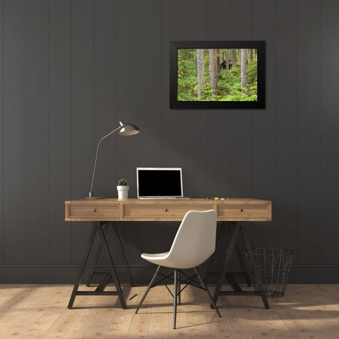USA, Washington, Olympic NP Forest cabin shelter Black Modern Wood Framed Art Print by Paulson, Don