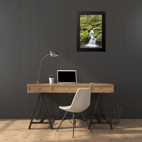 Washington, Olympic NP Small stream in forest Black Modern Wood Framed Art Print by Paulson, Don