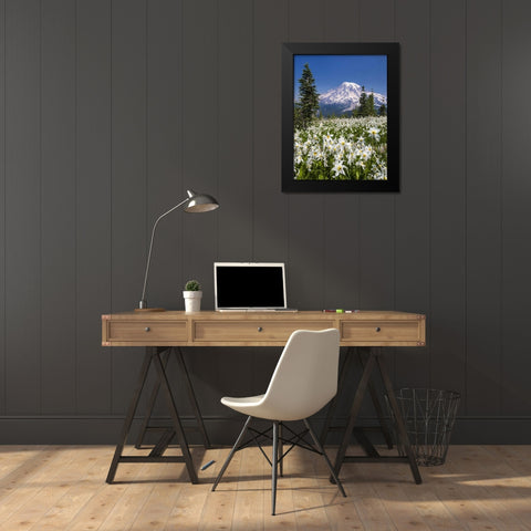 Washington Avalanche lilies and Mount Rainier Black Modern Wood Framed Art Print by Paulson, Don