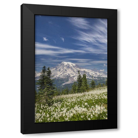 Washington Avalanche lilies and Mount Rainier Black Modern Wood Framed Art Print by Paulson, Don