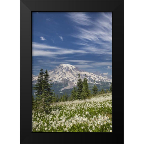 Washington Avalanche lilies and Mount Rainier Black Modern Wood Framed Art Print by Paulson, Don